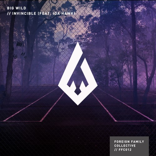 Invincible Remixes - 